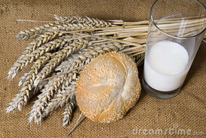 trigo-candeal-y-leche-5871828